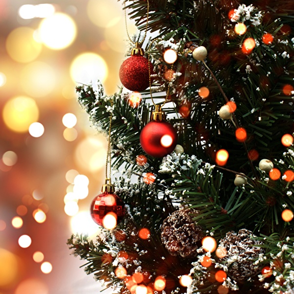 Kerst menu bij Bosrestaurant Overberg